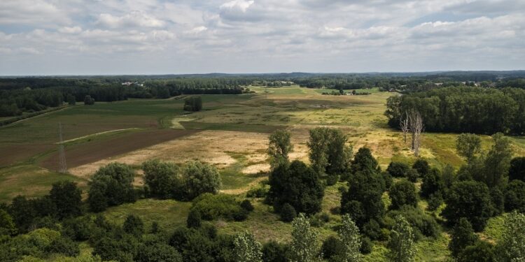 La Comisión Europea rebaja el estatus de protección de los lobos
