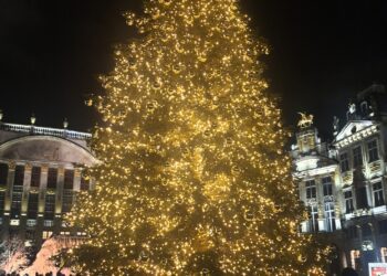 Aquí Europa os desea feliz Navidad y un excelente año 2024