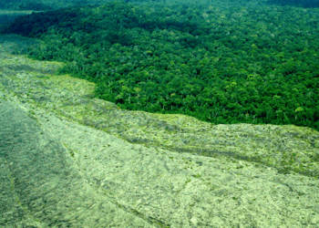 La UE reafirma su compromiso global de proteger un tercio del planeta para 2030