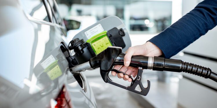 Las actividades de transporte representaron el 31% del consumo final de energía en 2022