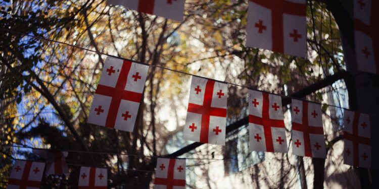El Parlamento dictamina que la democracia de Georgia está en riesgo