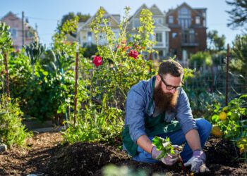 El seguimiento del ODS 11 señala un descenso en las muertes por accidentes de tráfico y contaminación aérea
