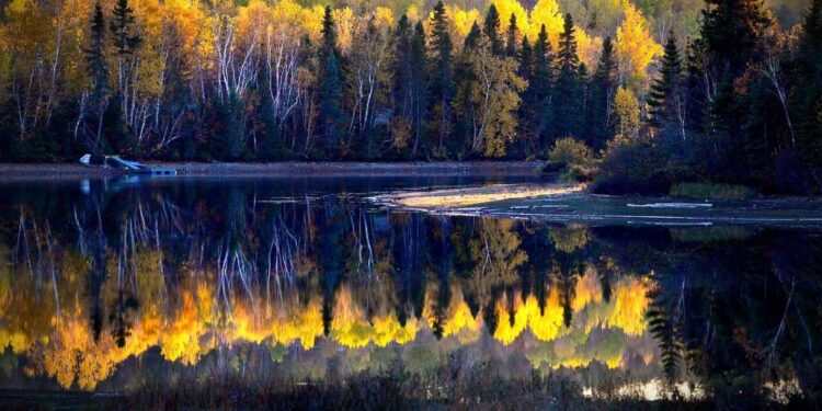 La UE concede más de 380 millones de euros a 133 proyectos del programa ecológico LIFE