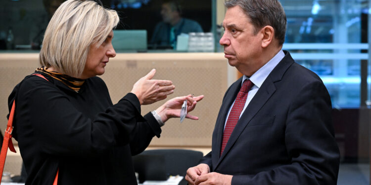 Planas espera “avanzar rápidamente” en la movilización de la reserva agrícola para hacer frente a las consecuencias de la DANA