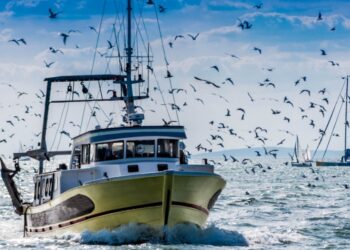 La flota de la UE capturó 3,3 millones de toneladas de pescado en 2023