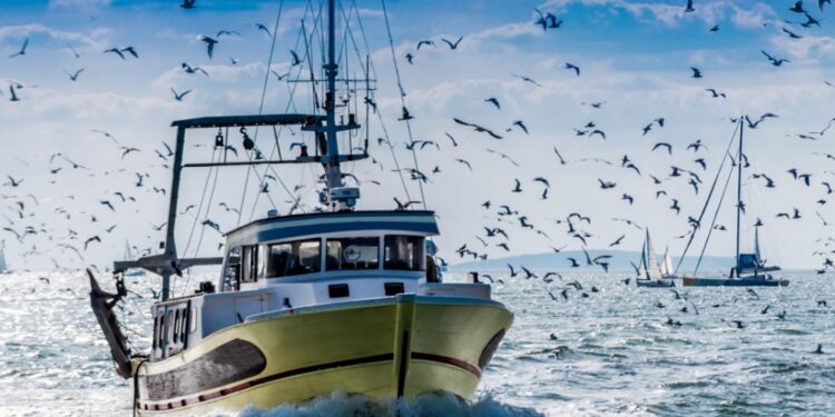 La flota de la UE capturó 3,3 millones de toneladas de pescado en 2023