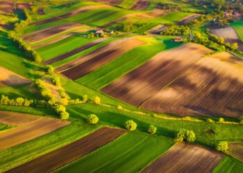 Eurostat lanza una nueva web sobre datos geoespaciales del censo agrícola