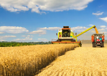 La producción agrícola de la UE ascendió a 524.000 millones de euros en 2022