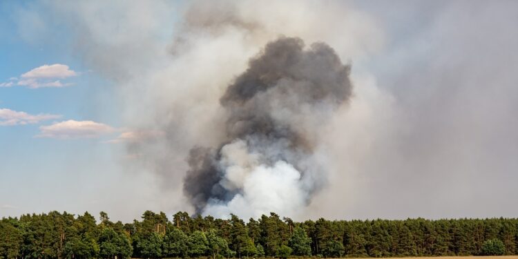 El Consejo acuerda su posición sobre la propuesta RESTORE para ayudar a los países de la UE afectados por catástrofes naturales
