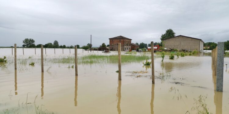 El Parlamento aprueba más de 116 millones en ayudas de la UE para Alemania e Italia por las inundaciones
