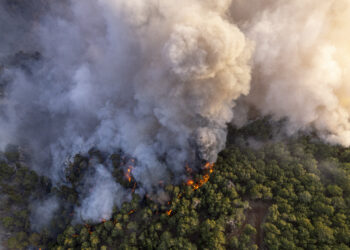 El Consejo aprueba prestar más asistencia a los Estados miembros afectados por catástrofes naturales