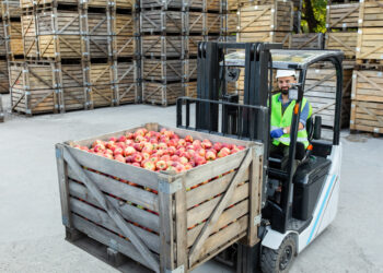 El superávit comercial agroalimentario de la UE se mantiene sólido en agosto de 2024