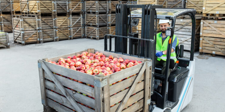 El superávit comercial agroalimentario de la UE se mantiene sólido en agosto de 2024