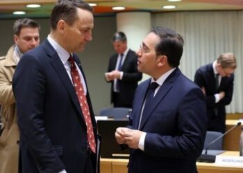 Exteriores asegura que Albares y Sikorski han avanzado en la propuesta sobre las lenguas