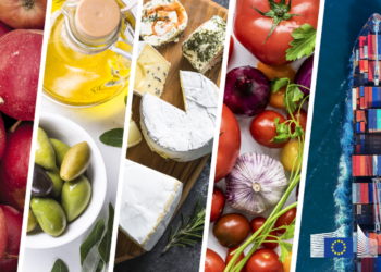 El superávit comercial agroalimentario de la UE en septiembre aumentó un 15%