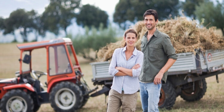El Consejo quiere impulsar una PAC centrada en los agricultores después de 2027