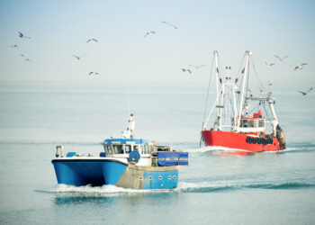 El Consejo aprueba su postura para negociar las prácticas pesqueras no sostenibles permitidas por países que no pertenecen a la UE