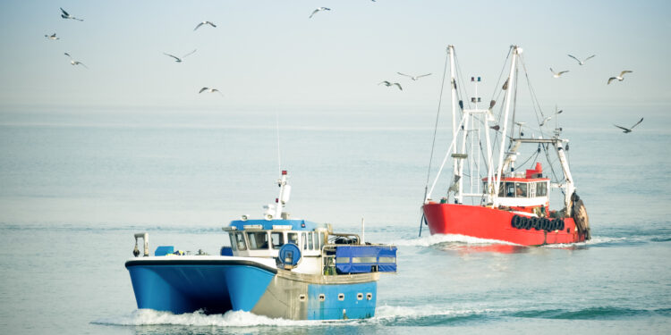 El Consejo aprueba su postura para negociar las prácticas pesqueras no sostenibles permitidas por países que no pertenecen a la UE