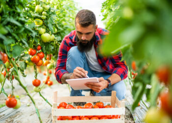 La Comisión propone nuevas medidas para reforzar la posición de los agricultores en la cadena de suministro agroalimentario
