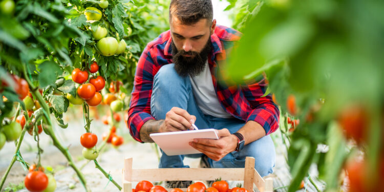 La Comisión propone nuevas medidas para reforzar la posición de los agricultores en la cadena de suministro agroalimentario