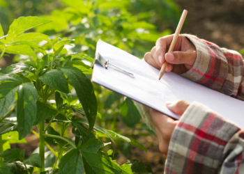 El informe de perspectivas agrícolas destaca la resiliencia y sostenibilidad en el sector
