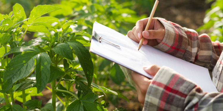 El informe de perspectivas agrícolas destaca la resiliencia y sostenibilidad en el sector