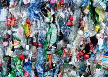 El Consejo adopta la normativa que establece que los envases deberán contener hasta un 65 % de material reciclado para 2040