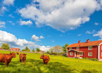 Eurostat lanza una publicación sobre explotaciones agrícolas en la UE