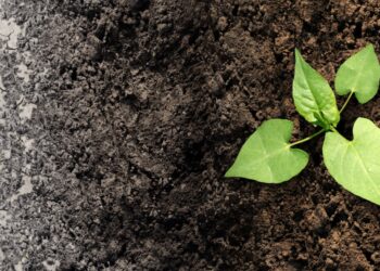 La inversión en mitigación del cambio climático supuso el 0,55% del PIB en 2023