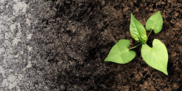 La inversión en mitigación del cambio climático supuso el 0,55% del PIB en 2023