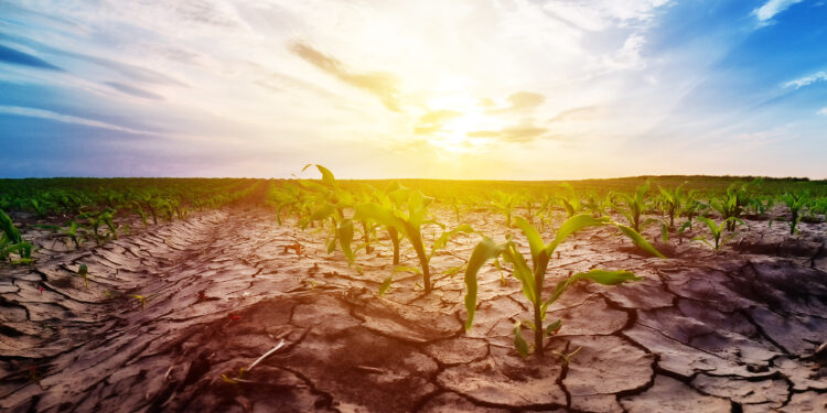 El EIT lanza convocatoria para crear una comunidad de conocimiento del agua