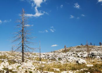Bruselas asegura que aún se necesitan medidas urgentes a nivel mundial para limitar el aumento de la temperatura