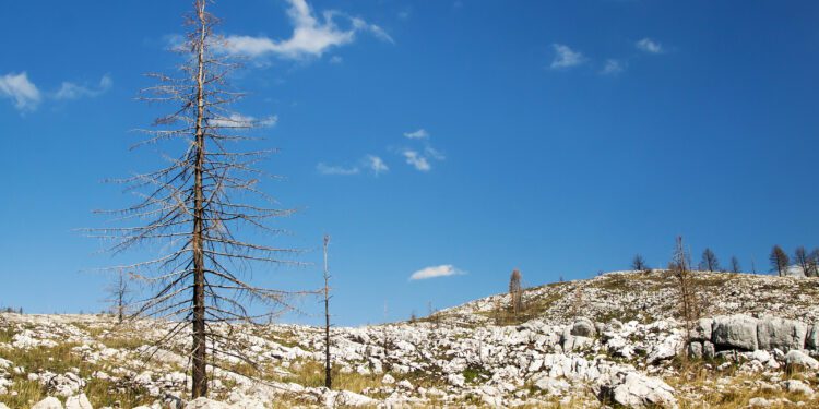 Bruselas asegura que aún se necesitan medidas urgentes a nivel mundial para limitar el aumento de la temperatura