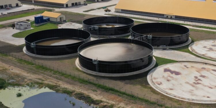 El 40% de todas las explotaciones agrícolas de la UE disponían de instalaciones de almacenamiento de estiércol