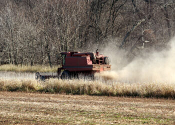 Eurobarómetro: el 70% de los encuestados mostró su apoyo a la PAC