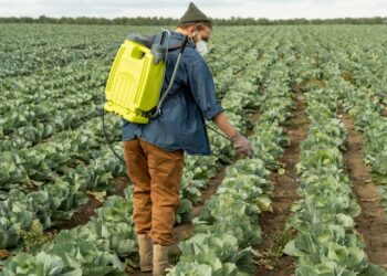 La Comisión propone imponer aranceles a los productos y fertilizantes agrícolas procedentes de Rusia y Bielorrusia