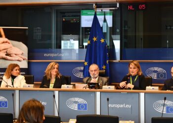 AESTE reivindica en el Parlamento Europeo el papel clave del sector de los Cuidados en el reto demográfico