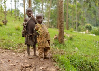 Seguridad alimentaria en África: desafíos persistentes y estrategias para el futuro