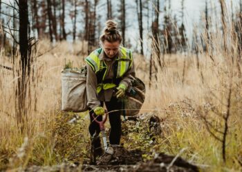El empleo medioambiental en la UE aumenta un 10 % de media en 2022