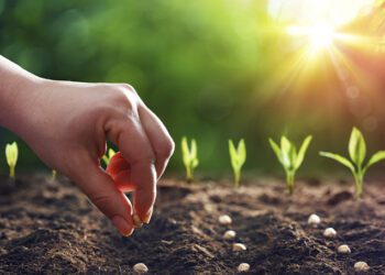 El Consejo negocia la posición sobre los aranceles a bienes agrícolas y fertilizantes procedentes de Rusia y Bielorrusia