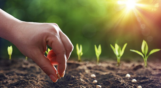 El Consejo negocia la posición sobre los aranceles a bienes agrícolas y fertilizantes procedentes de Rusia y Bielorrusia