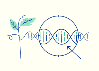 El Consejo acuerda el mandato de negociación sobre las plantas y alimentos obtenidos a través de técnicas genómicas
