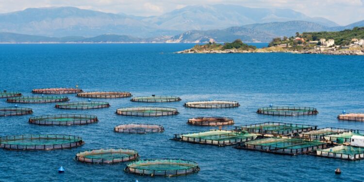 España encabezó con un 23,1% la producción acuícola de la UE en 2023