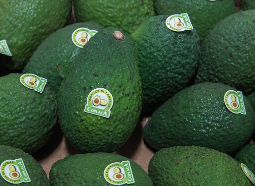 La Comisión aprueba el aguacate de Canarias como indicación geográfica protegida