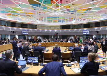 El Consejo aboga por movilizar recursos públicos y privados para lograr los ODS