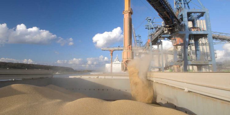 El comercio de productos agrícolas deja un superávit de 39.200 millones de euros en la UE