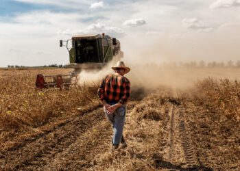 Bruselas simplifica la PAC para apoyar a los agricultores y mejorar la competitividad