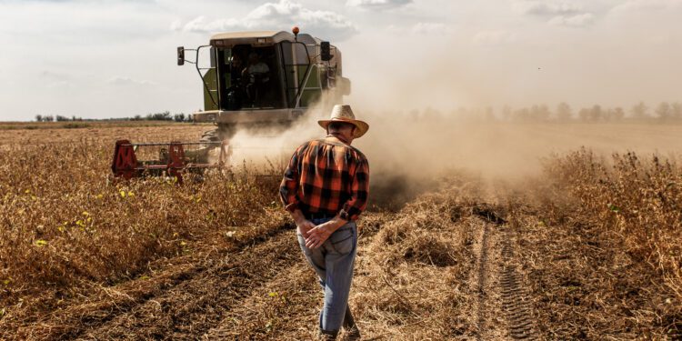 Bruselas simplifica la PAC para apoyar a los agricultores y mejorar la competitividad