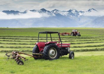 El Consejo acuerda modificar la normativa para «fortalecer» la posición de los agricultores