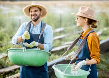 La UE otorga una ayuda de emergencia por valor de 15 millones de euros a los agricultores de Chequia, Eslovenia y Alemania